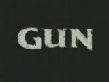 Gun gamecube