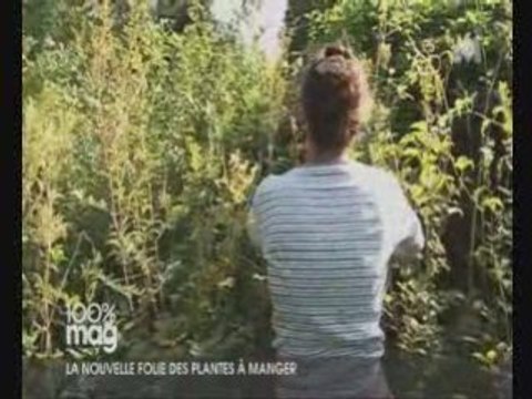 Cuisine plantes sauvages et fleurs comestibles avec Pierrette Nardo