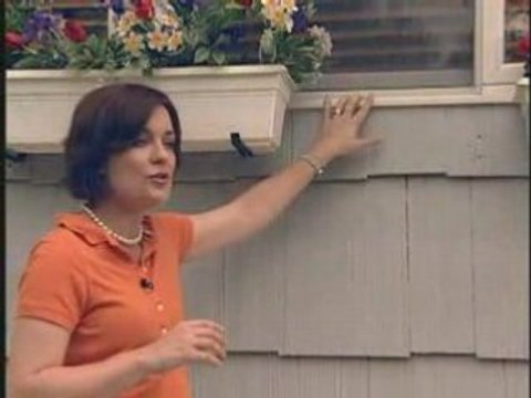 Keep Your Home Safe by Putting Pests in Their Place