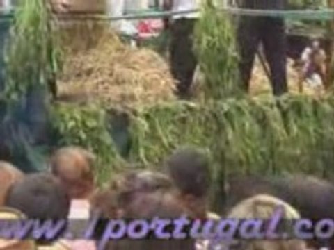 Feiras Novas - Ponte de Lima - Setembro 2008 - 15