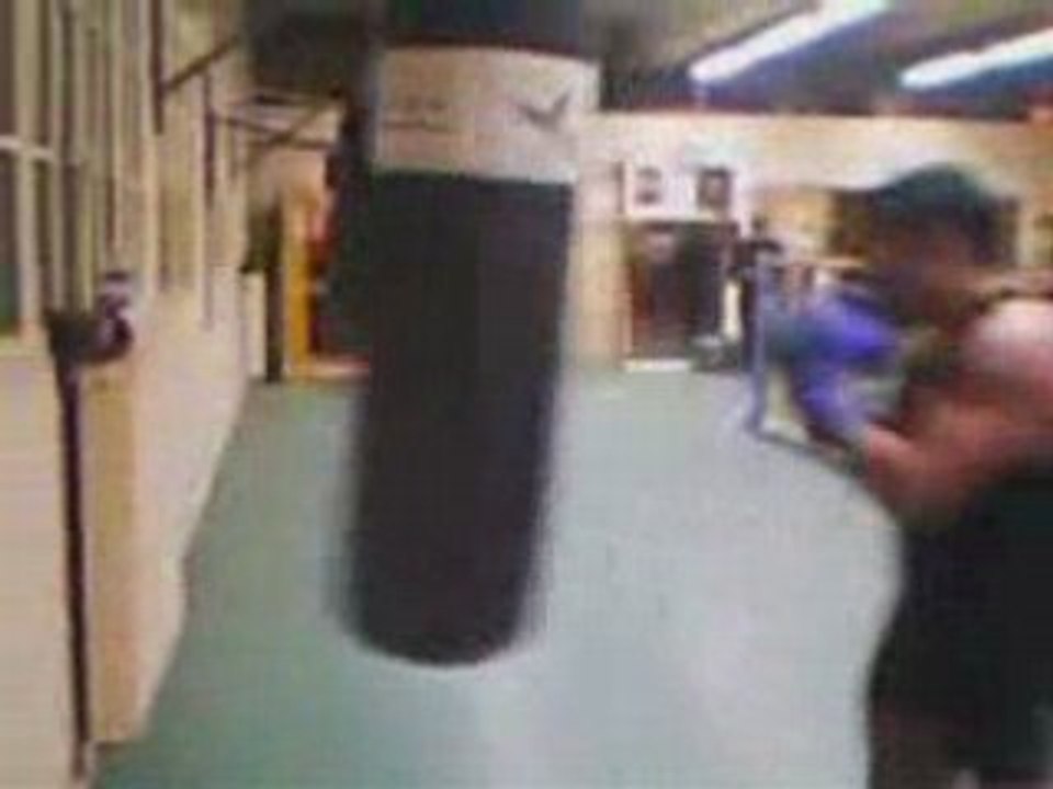 tony91240 Boxe