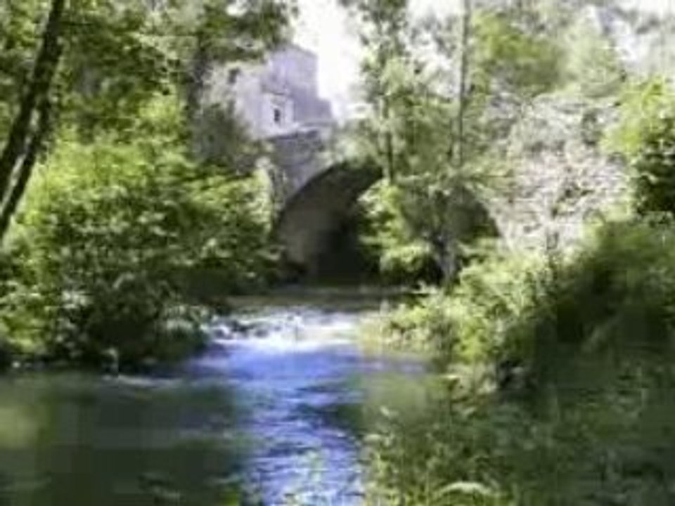 Coccinelle - 2007 (extrait)