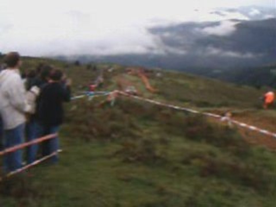 cimes 2008