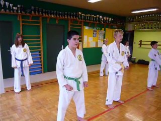 Entraînement au Mawashi Karaté Club.