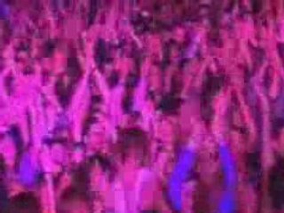 Babyshambles - Killamangiro - Vieilles Charrues 2008
