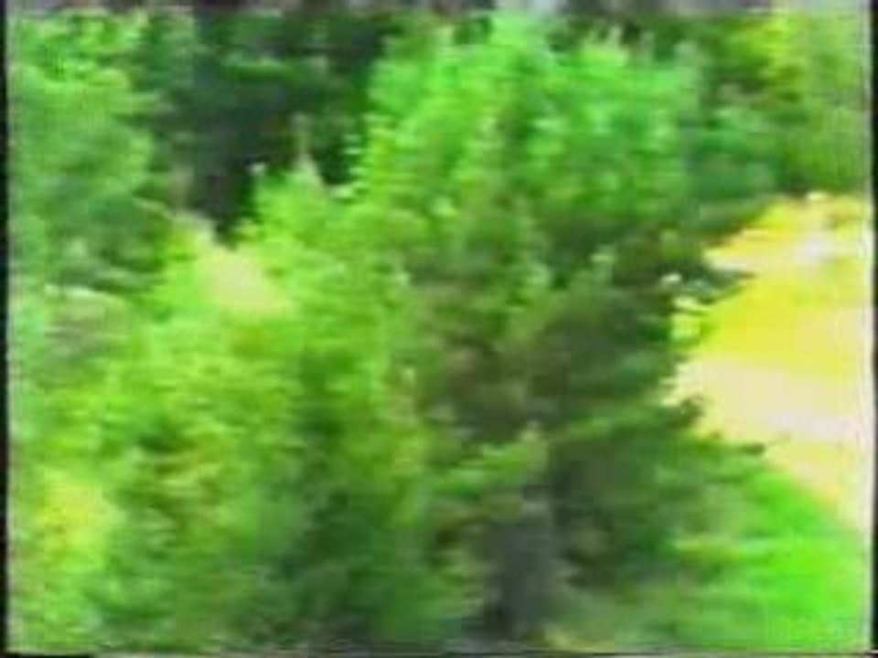 Crash-wrc
