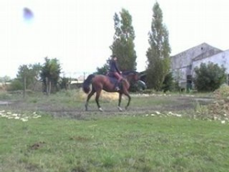 Lo-10-09-08