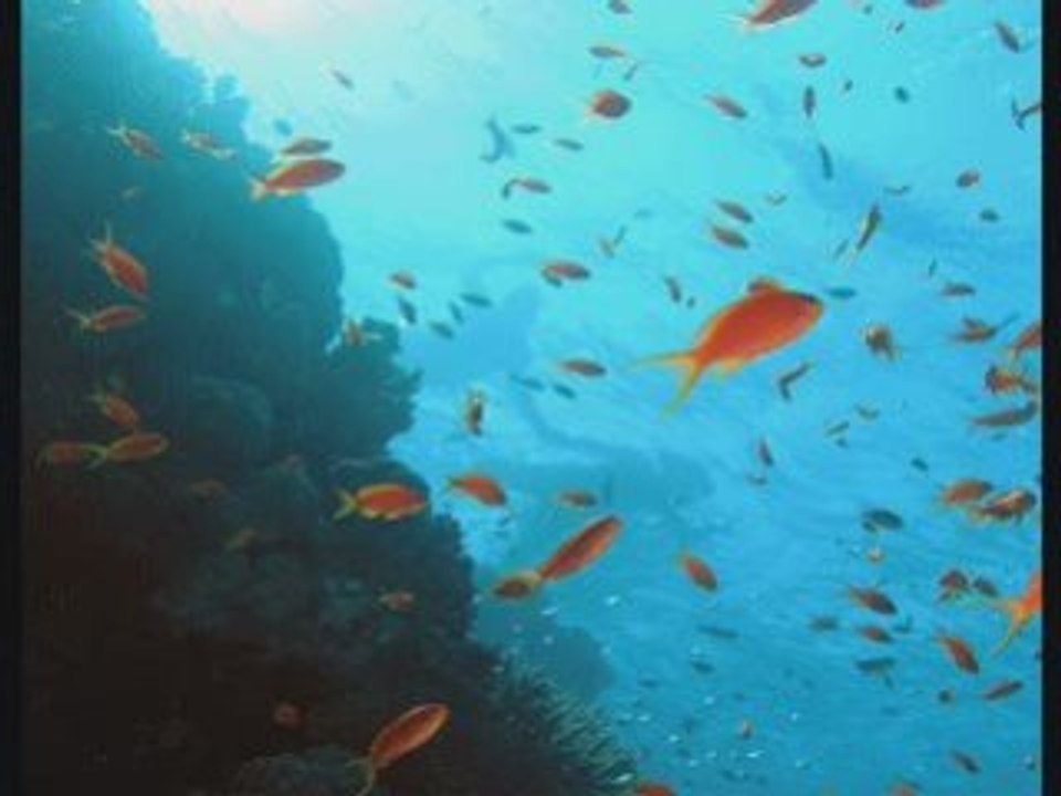 Une histoire d'eau
