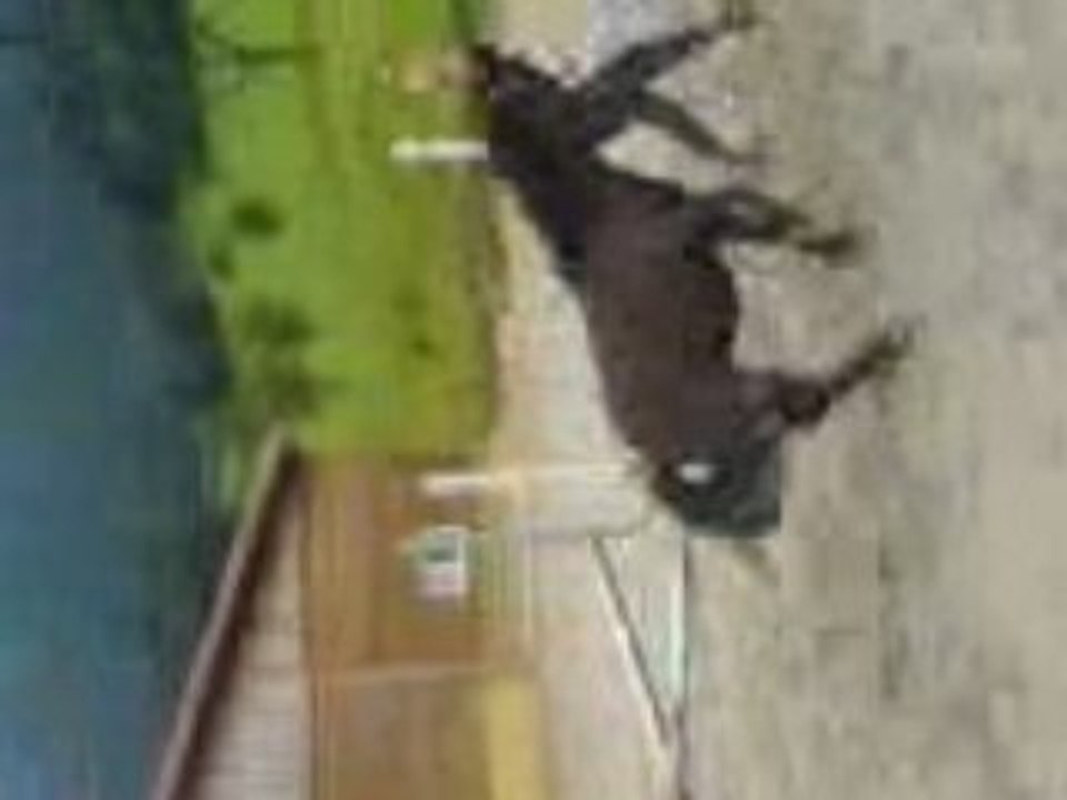 Moi et Cerena saut en liberté