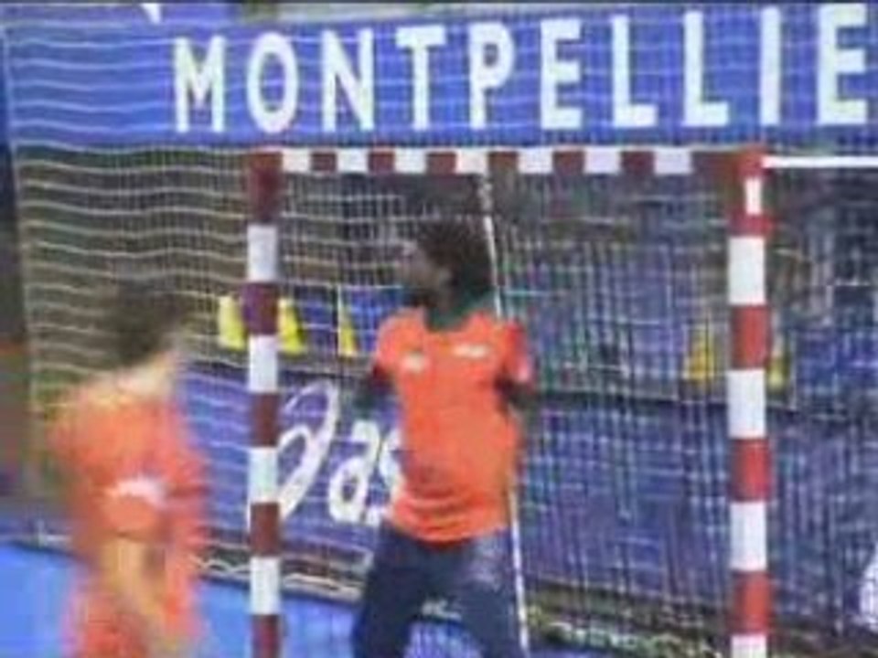 Handball : Montpellier à la veille de la saison 2008/09