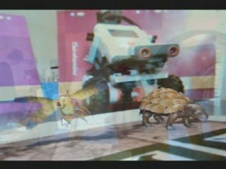 Forum des Associations 2008 Mica