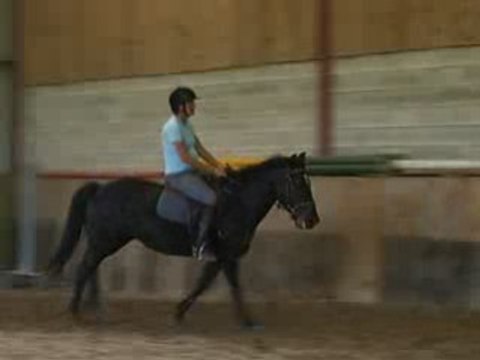 Galop assis