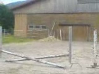 Pauline qu isaute avec le ptit tonnerre =)