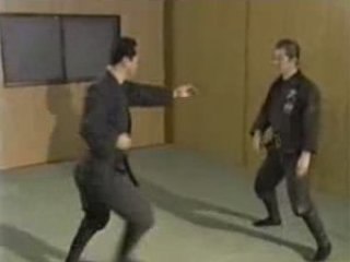 Bujinkan   Hatsumi Sensei