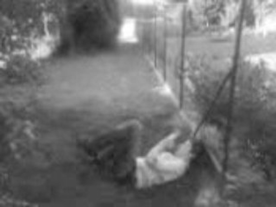 MOV00324