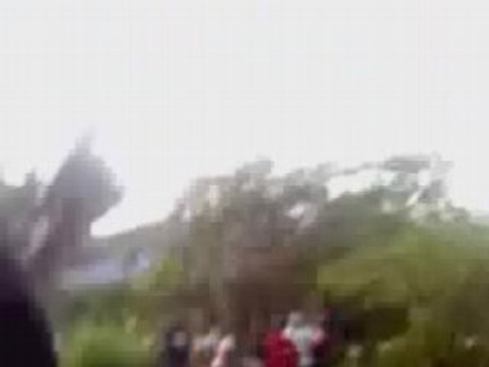 Tarjeta por la Vida Quenepe