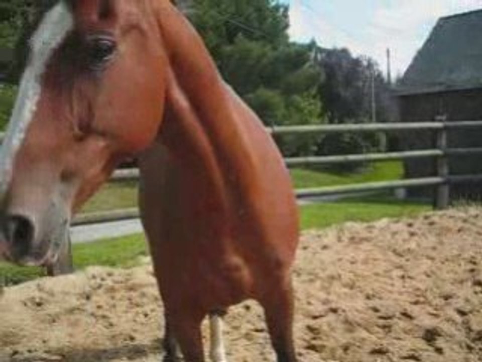 Montage Chayton001_0002 musique yann tiersen