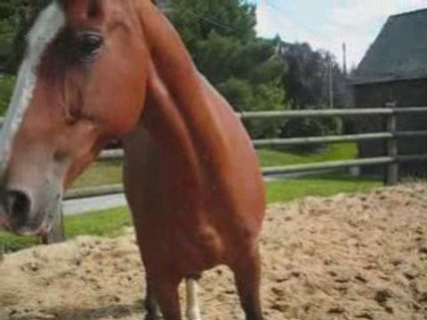 Montage Chayton001_0002 musique yann tiersen