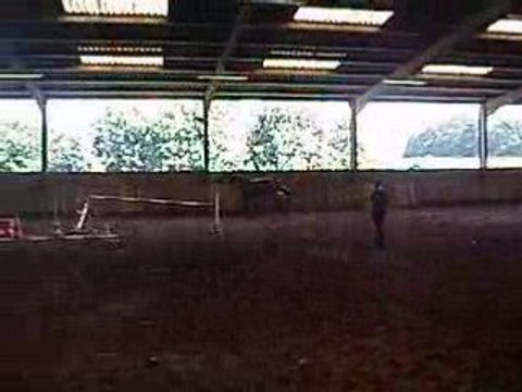 Lynn saute un croisillon en liberté