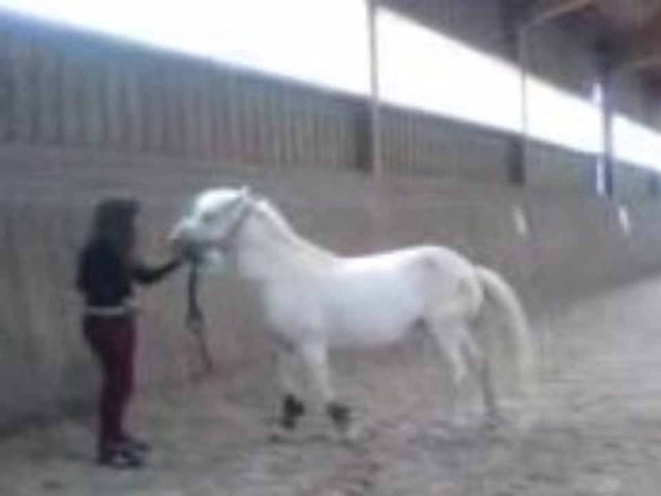 Pauline et poupe qui cabre