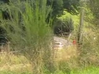 Rallye de la Famenne 2008