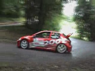 Rallye du Mont-Blanc 2008_ estrallye.com