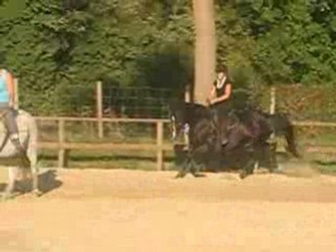 le trot allongé