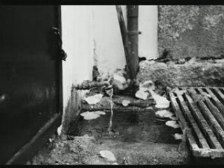 A Ultima Morada (versão extendida)