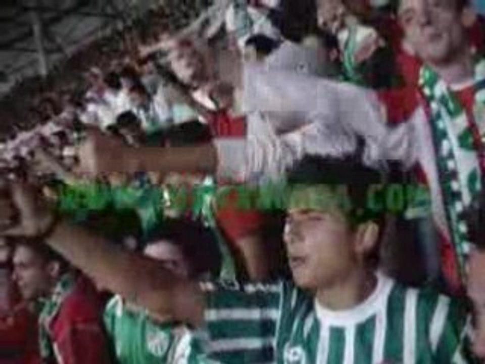 bursaspor supporters against fucking pkk kurdish terrorist