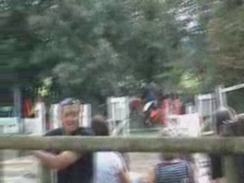 Concours de saut avec Illico aux Petites mottes le 31/08/08