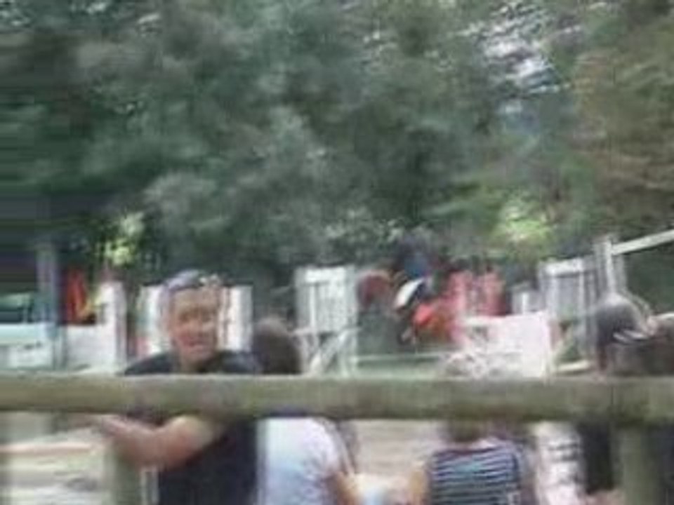 Concours de saut avec Illico aux Petites mottes le 31/08/08