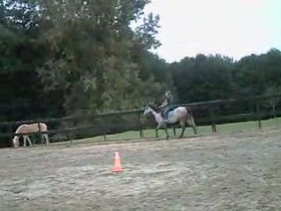 CLIP0003