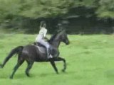 Yahou, galop à fond en balade !!!! x_X