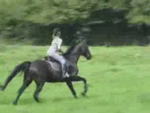 Yahou, galop à fond en balade !!!! x_X