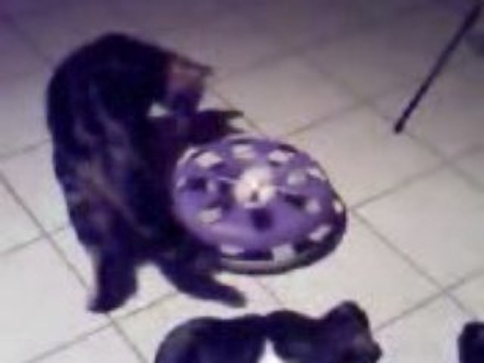 Zoé joue avec l nouveau jouet