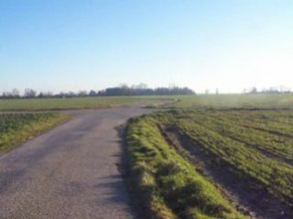 essai niko 2008