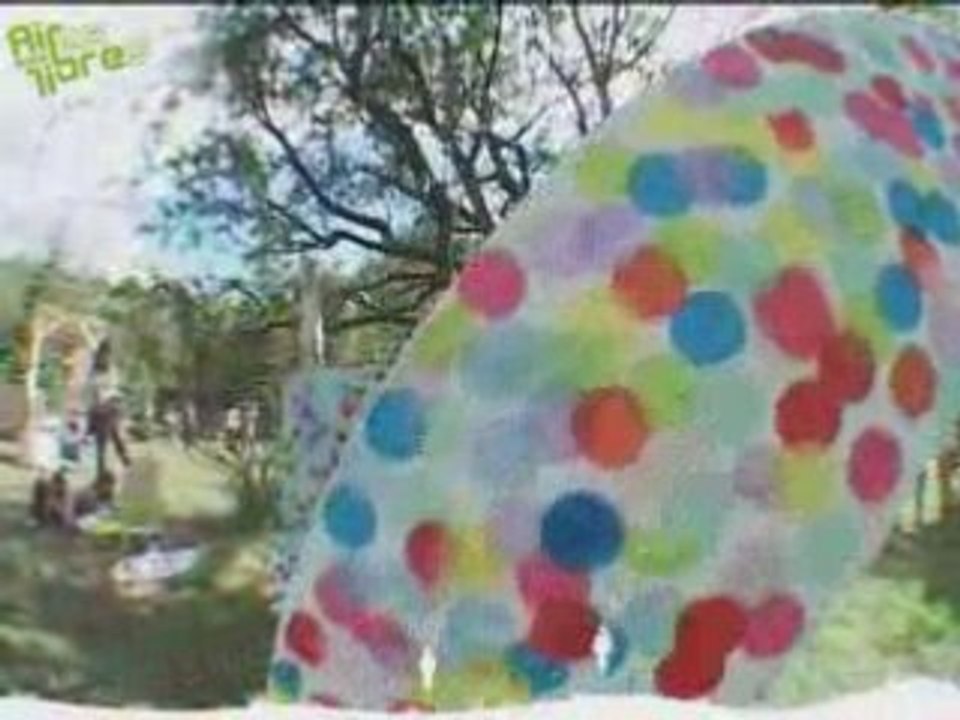 Aire libre 2008 à Roques-Hautes