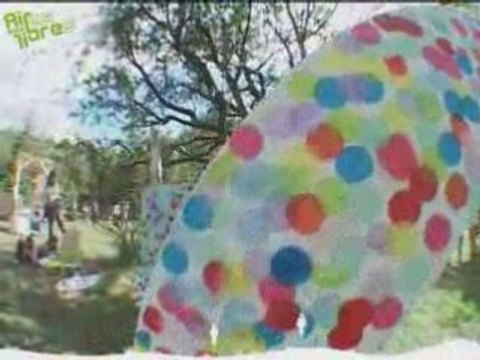 Aire libre 2008 à Roques-Hautes