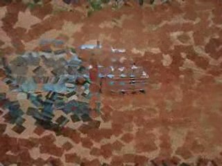 Course elne 30.03.2008