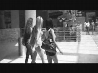 Hi Stakez - Hydraulics / NEW