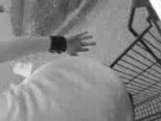 Caddie vs roller vs voiture