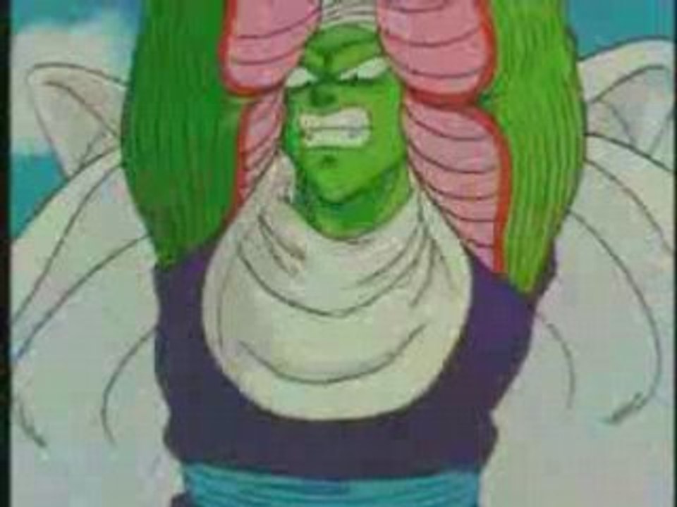 DRAGON BALL MARACUCHITO