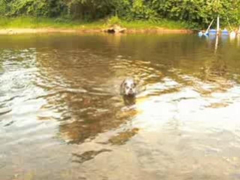Orphée dans le Lot à seuzac