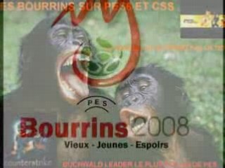 Bourrin