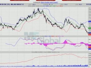 BLE MEUNIER 11.09.08