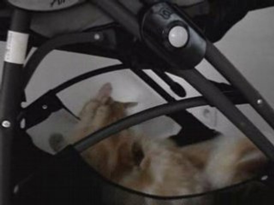 A-chats et provisions
