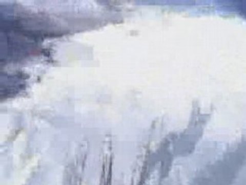 Alpine Extreme Paragliding from GlobalGifter