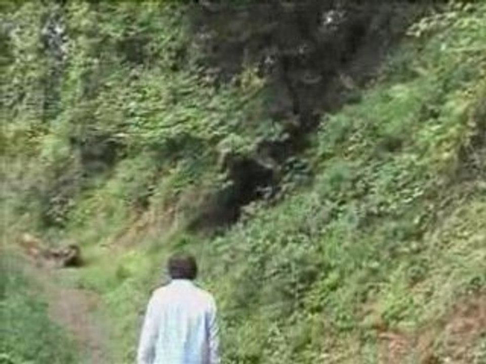 Promenade au château de penhoat près Morlaix