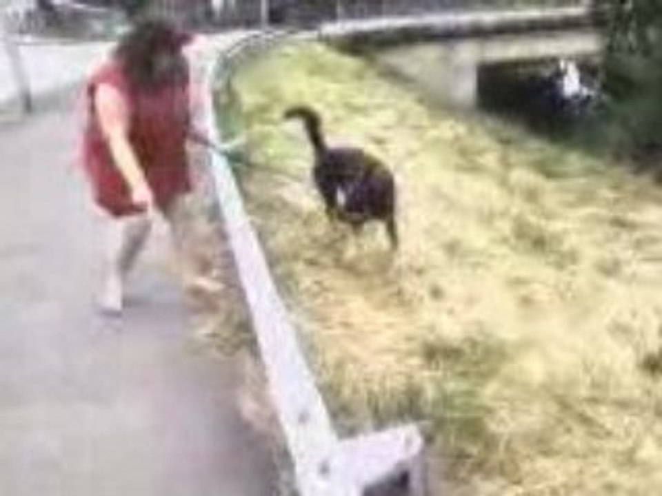 Vidéo0009