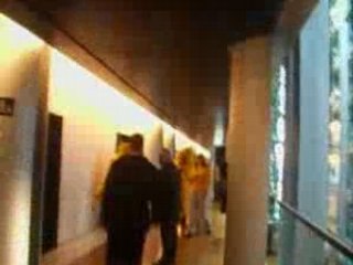 European Parliament - Chicken Run Final